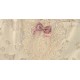 Blood Supply Cupid's Casket of Poems Heart Bow JSK(Full Payment Without Shipping)